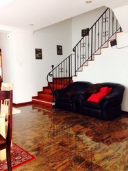Lorong Marican (D14), Terrace #619540251